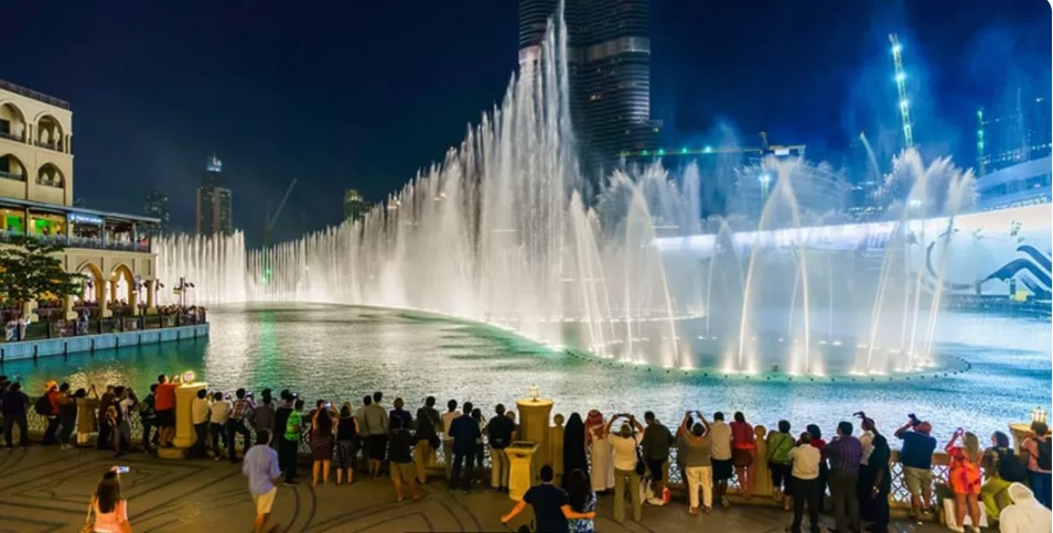 Business Data Insights